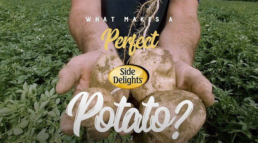 A perfect potato